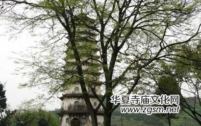 荒山廢寺古塔猶存 殘缺佛像頭頂編織袋顯怪誕之美 荒山廢寺古塔猶存 殘缺佛像頭頂編織袋顯怪誕之美