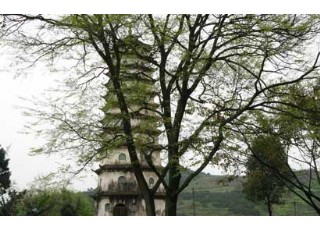 ��ɽ�U�¹����q�暈ȱ�����^픾������@���Q֮��