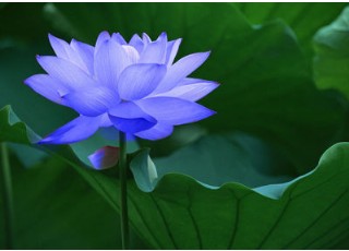 ���ƴ󎟌��U���p�޵��_ʾ