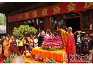 �������Q�����̽��������Ļ����(d��ng)�ᳱ