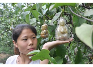 �˅����F(xi��n)���ӱ������r(n��ng)����ֲ���殐ˮ�����Ʒ���(�M�D)