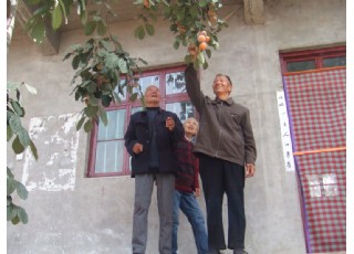 �L����(j��ng)������Ĳ��������ӵĺ��ϰ�ꖿh�޼Ҙ��(zh��n)·�δ�������