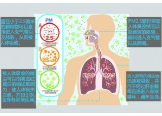 �F�������ʳ����