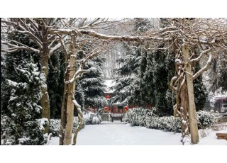 ������ȱ���