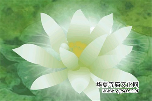 印順法師:學(xué)佛不一定吃素;但吃得卻值得提倡 印順法師:學(xué)佛不一定吃素;但吃得卻值得提倡