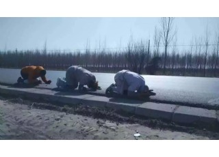 2016�ꌤ���������_�����E--�������_ɽͨ��