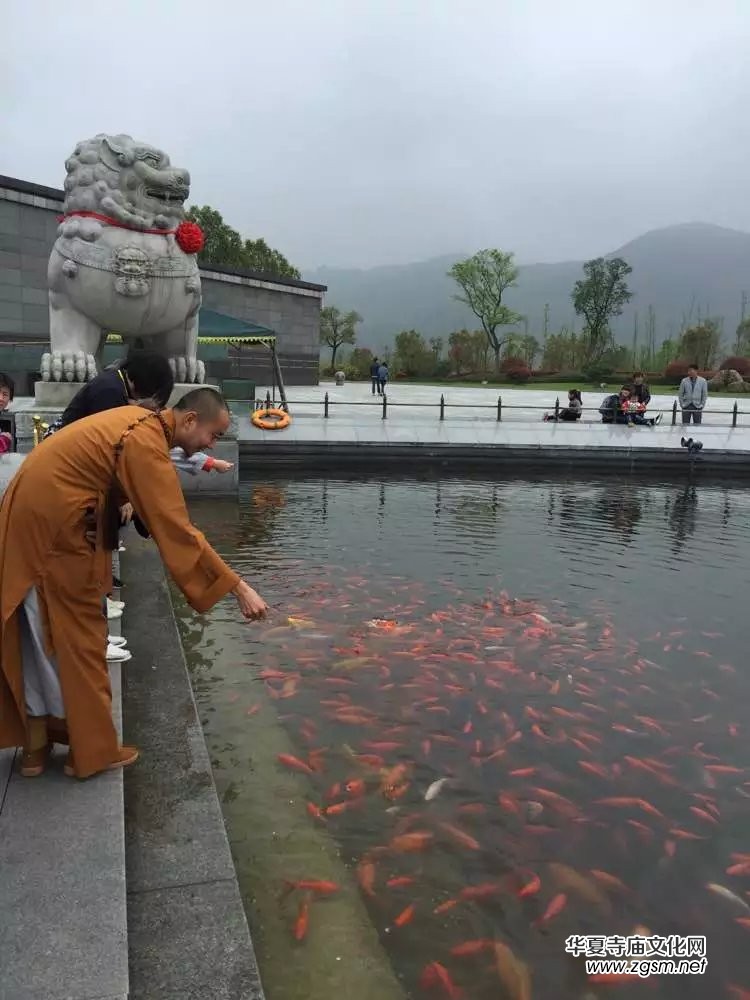 2016年清明節(jié)朝拜九華山圓滿 2016年清明節(jié)朝拜九華山圓滿