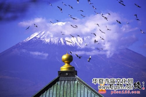 國家宗教局發(fā)文:這些放生形式要禁止了 國家宗教局發(fā)文:這些放生形式要禁止了