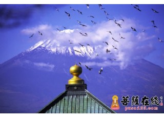 �����ڽְ̾l(f��)�ģ��@Щ������ʽҪ��ֹ��