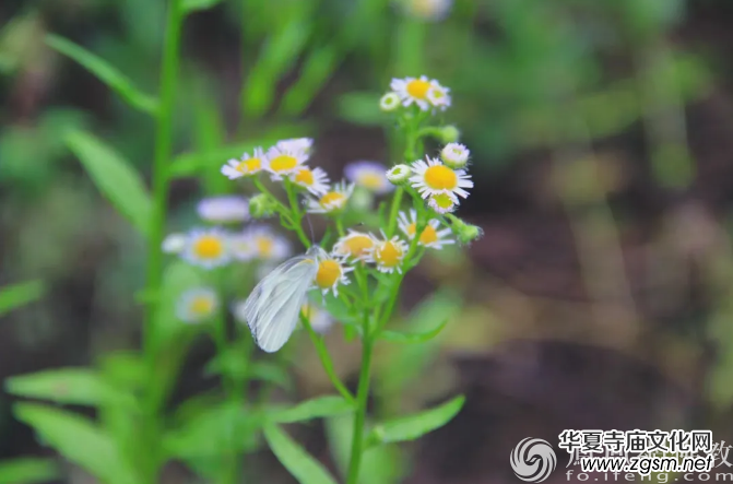 Ԕ�⣡����ϑ���������f���W(xu��)���ȌW(xu��)����