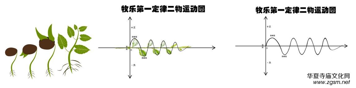 �P(gu��n)�������Π������g���r�g�������w��ӑՓ�c�傀����