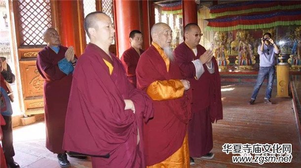 �����ώ�--��ľ��D������