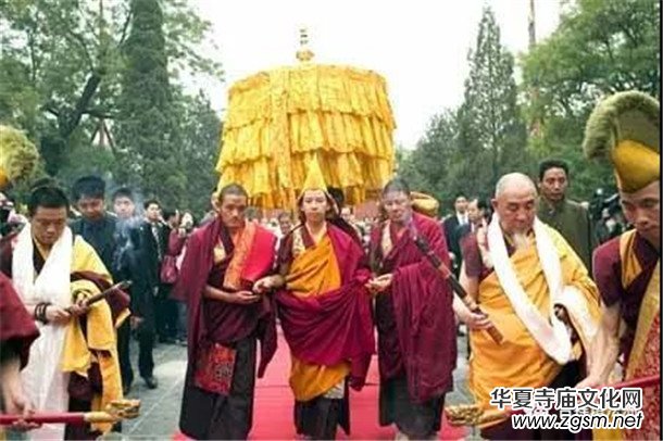 �����ώ�--��ľ��D������