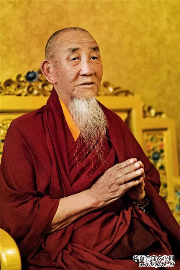 �����ώ�--��ľ��D������