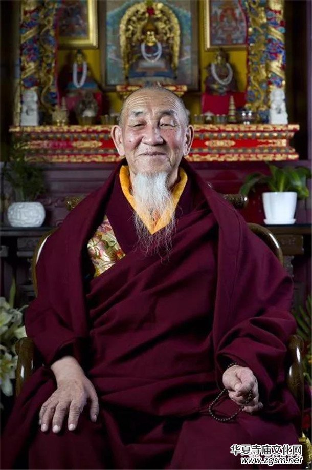 �����ώ�--��ľ��D������