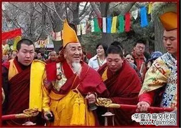 �����ώ�--��ľ��D������