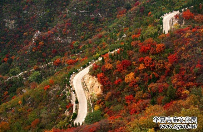 �������ݣ���Ⱦ�ؼ� ���p�t�~