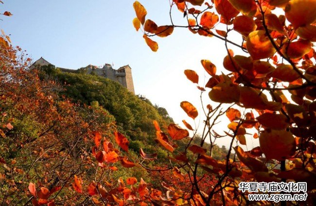 �������ݣ���Ⱦ�ؼ� ���p�t�~