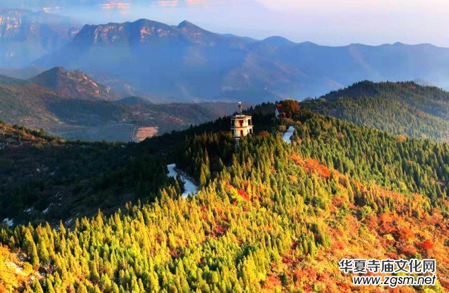 �������ݣ���Ⱦ�ؼ� ���p�t�~