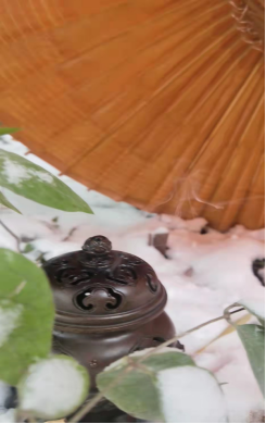 �}�Ͼ�����z����������ſ���������