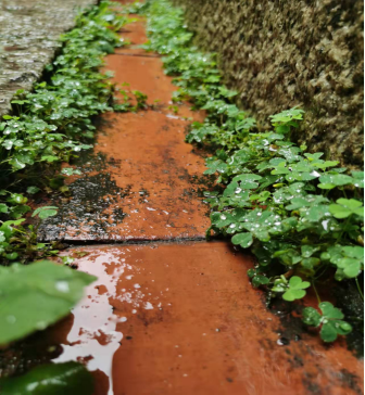 �}�Ͼ�����z����������ſ���������