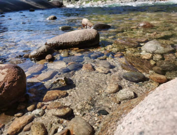 �}�Ͼ�����z����������ſ���������