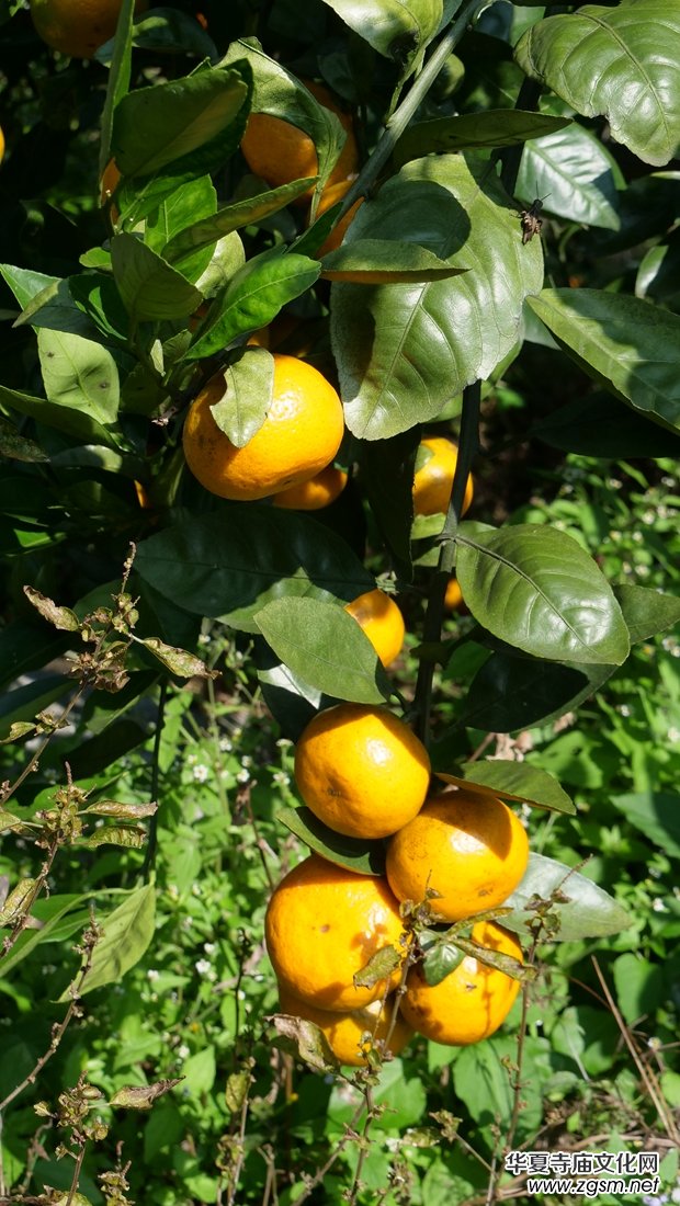 ��̼?x��)�o�n�M(j��n)ǧ�h ��ȫʳƷ�M(j��n)�f�ҡ����F�݄P���