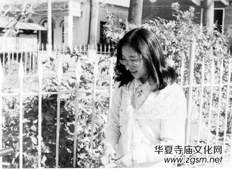 Ц����ʮ���Ԋһ�M