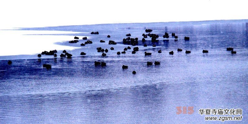 Ц���zӰ����ѩҰ���D