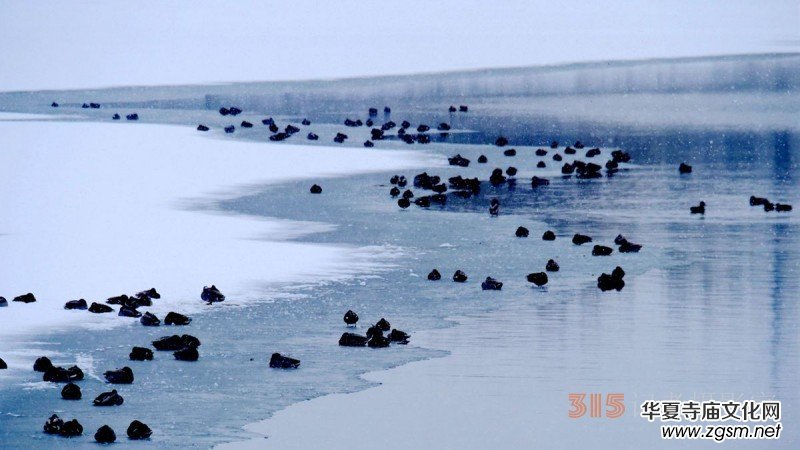 Ц���zӰ����ѩҰ���D