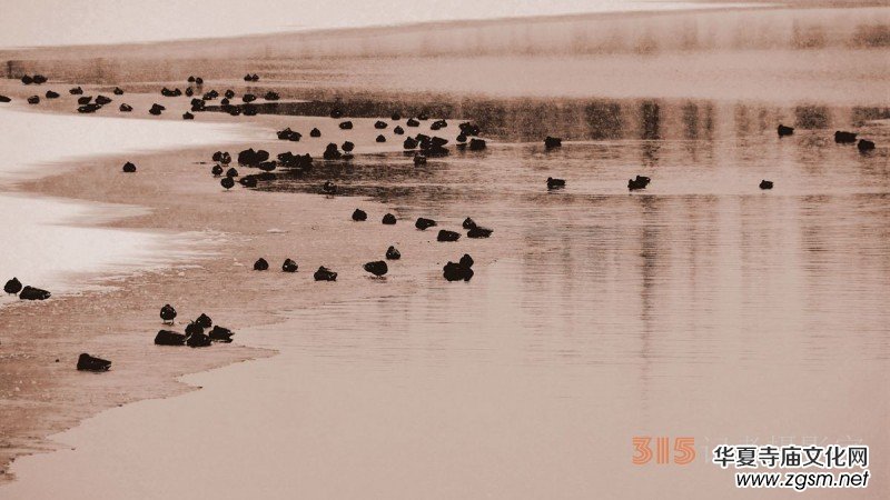 Ц���zӰ����ѩҰ���D