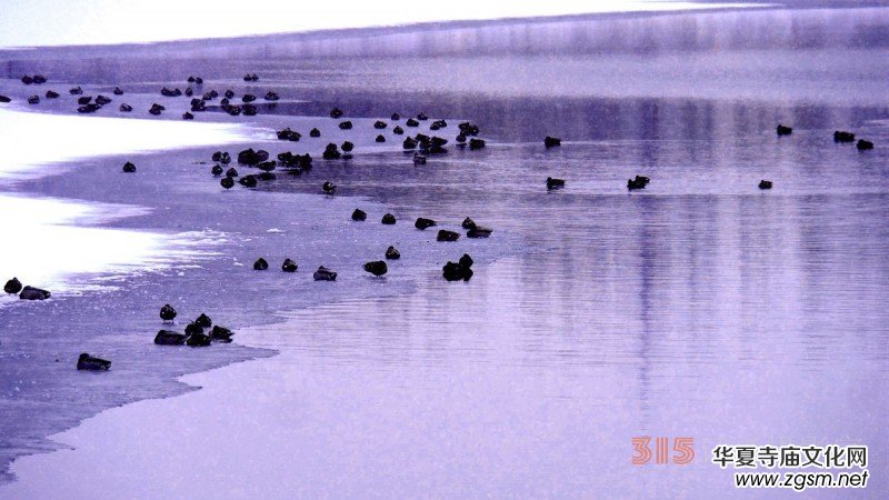 Ц���zӰ����ѩҰ���D