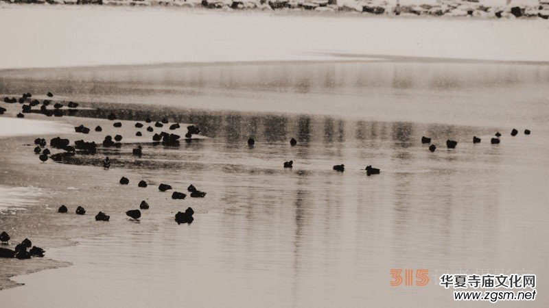 Ц���zӰ����ѩҰ���D