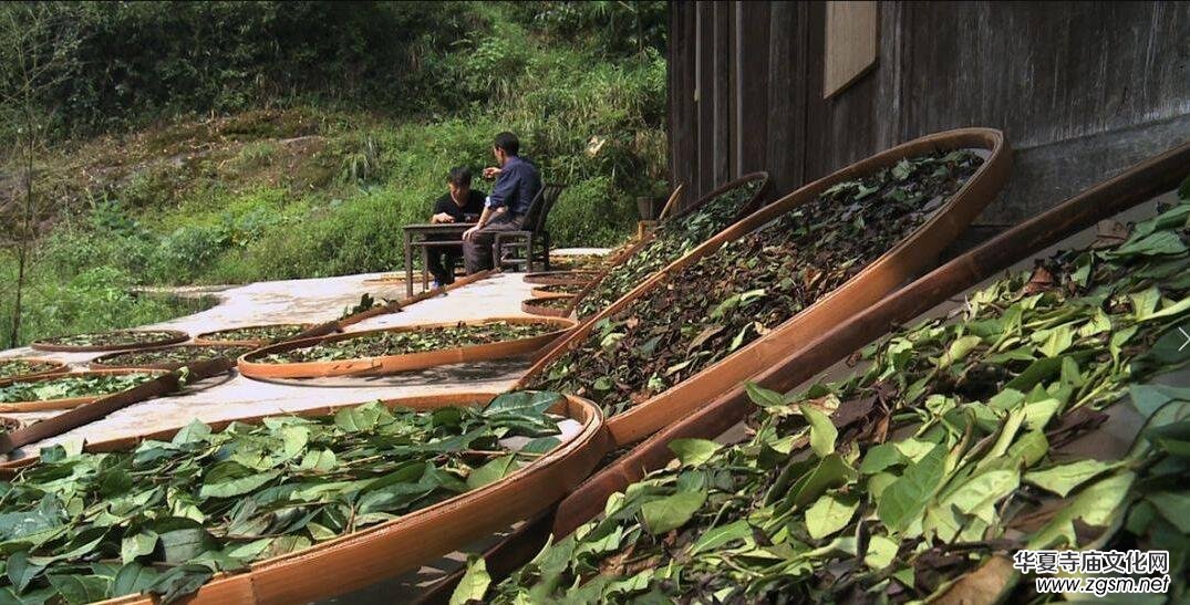 �A������I(y��)��(chu��ng)ʼ�ˡ����Ї���V���B��