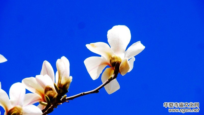 �����N����Ц���z