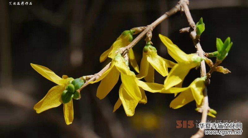 �����N����Ц���z