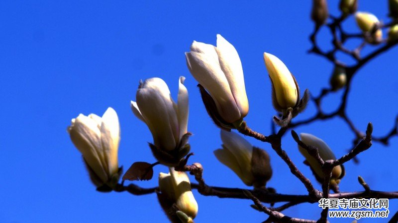 �����N����Ц���z