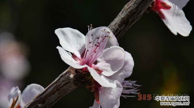 �����N����Ц���z