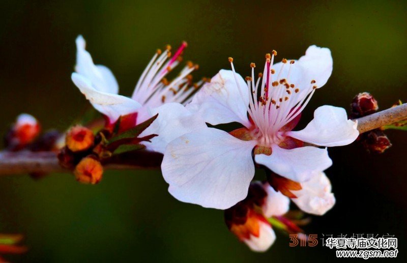 �����N����Ц���z