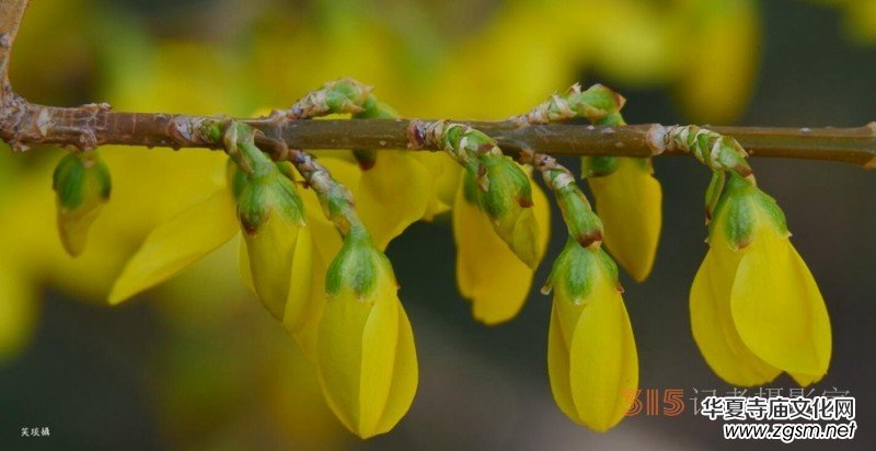 �����N����Ц���z