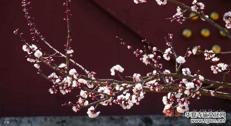 �����N����Ц���z