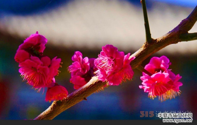 �����N����Ц���z