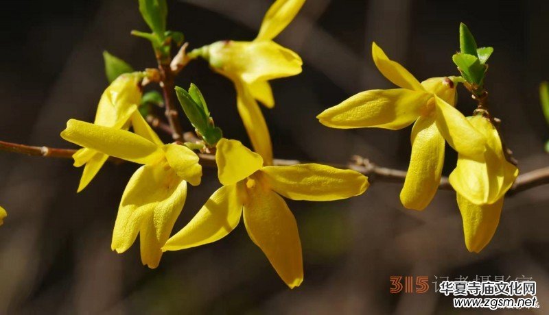 �����N����Ц���z