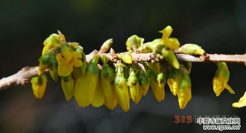 �����N����Ц���z