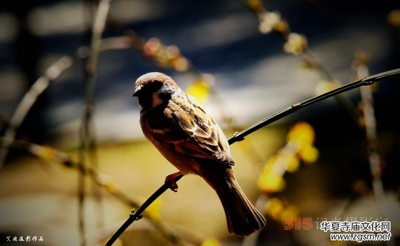 �����N����Ц���z