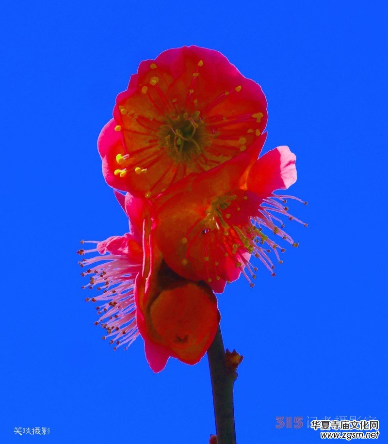 �����N����Ц���z