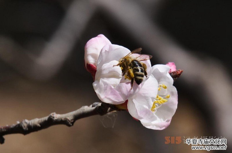 �����N����Ц���z