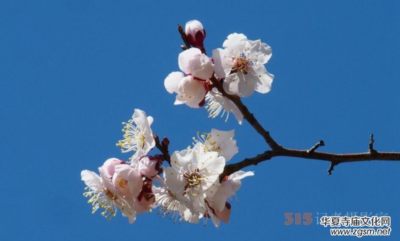 �����N����Ц���z