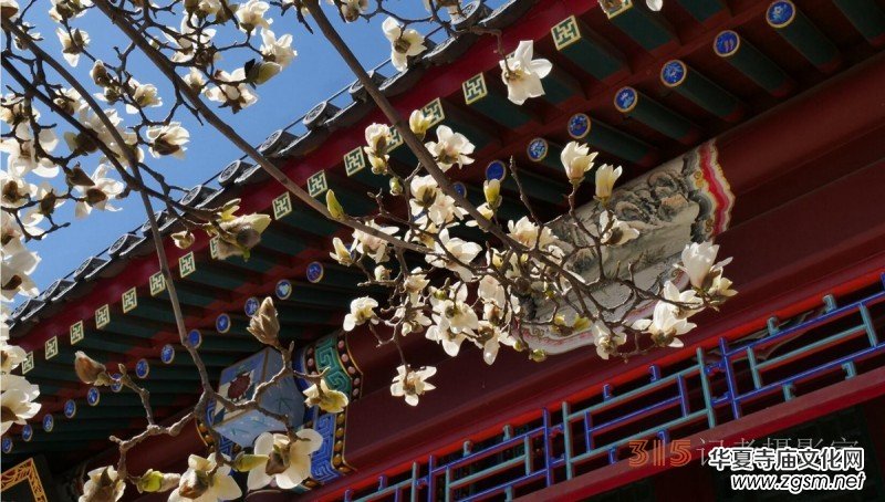 �����N����Ц���z