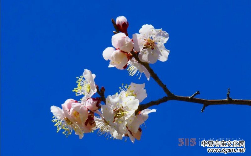 �����N����Ц���z